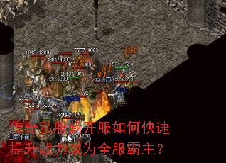 ����˽���¿�����ο�������ս����Ϊȫ��������