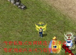 ����˽���������ѡ�����ֱؿ��Ķ��Ҵ��ؼ�������Щ��