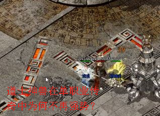 ��ʿ�����ڵ�ְҵ������Ϊ�β���ǿ�ƣ�