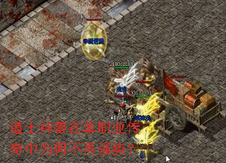 ��ʿ�����ڵ�ְҵ������Ϊ�β���ǿ�ƣ�