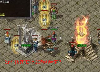 ��ο��ٻ��20W����ֵ��