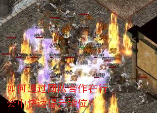 如何通过团队合作在行会中快速提升地位? 如何通过团队合作在行会中快速提升地位?