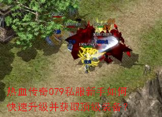 ��Ѫ����079˽��������ο�����������ȡ����װ����