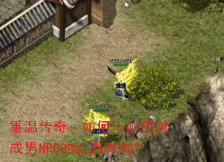 重温传奇:如何巧妙应对成男NPC的红温时刻? 重温传奇:如何巧妙应对成男NPC的红温时刻?
