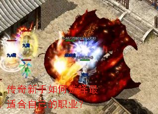 �����������ѡ�����ʺ��Լ���ְҵ��