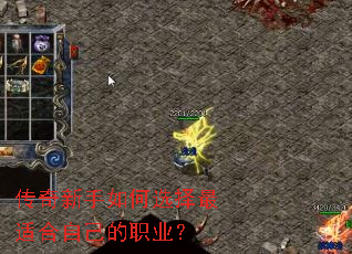 �����������ѡ�����ʺ��Լ���ְҵ��