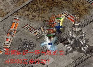 �����֯һ����Ч�ı���BOSS��ɱ�ж���