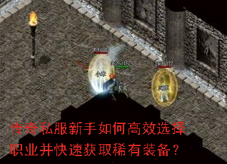 ����˽��������θ�Чѡ��ְҵ�����ٻ�ȡϡ��װ����