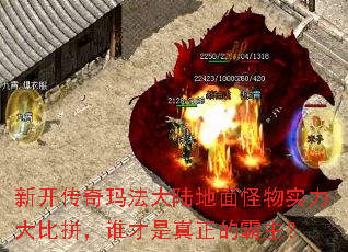 �¿������귨��½�������ʵ�����ƴ��˭���������İ�����