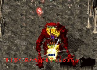 ��ʿְҵ����ܵ�������BOSS��