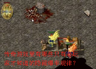 ������Ϸ������Щֻ������Ҳ�֪�������ر��ʹ��ɣ�