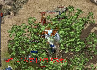 ��γ�Ϊ�����еĶ�����ң�