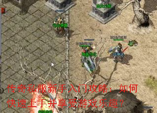 ����˽���������Ź��ԣ���ο������ֲ�������Ϸ��Ȥ��