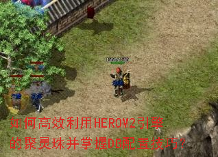 ��θ�Ч����HEROM2����ľ����鲢����DB���ü��ɣ�