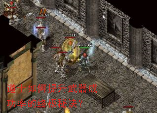 ��ʿ������������ɹ��ʵ��ռ��ؾ���