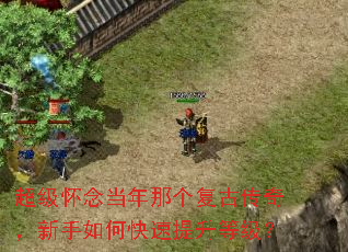 ����������Ǹ����Ŵ��棬������ο��������ȼ���