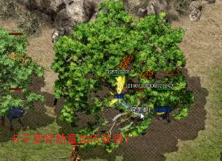 ��������ѫ����λ�ã�