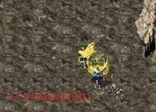 ��������ѫ����λ�ã�