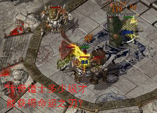 �����ʿ���ټ����ܻ������֮�У�