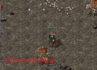 С����ο��ٷ����¸���