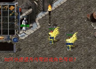 ��ο�������������Ϸ��ɫ�ȼ���