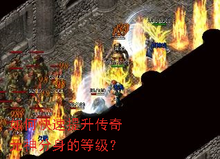 ��ο�����������Ԫ������ĵȼ���