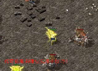 ����˽������Щʵ��С���ɣ�