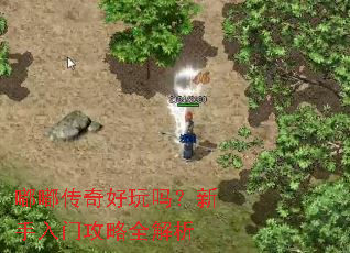 �ུ���������������Ź���ȫ����