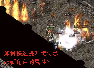 ��ο�����������˽���½�ɫ�����ԣ�