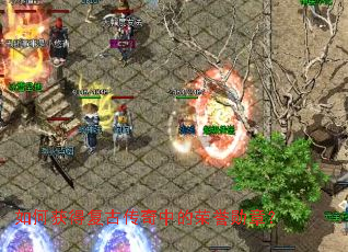 ��λ�ø��Ŵ����е�����ѫ�£�