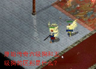 ԭʼ�������������弶����������ʲô��