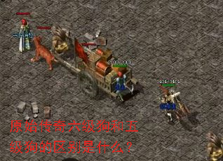 ԭʼ�������������弶����������ʲô��