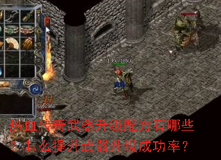 ��Ѫ�������������䷽����Щ����ô�������������ɹ��ʣ�