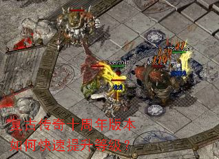 ���Ŵ���ʮ����汾��ο��������ȼ���