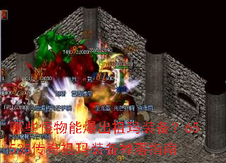 ��Щ�����ܱ�������װ����65535��������װ������ָ��