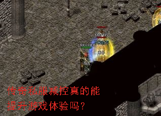 ����˽�����������������Ϸ������