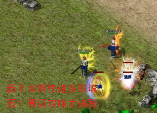 ������ο��ٻ�ȡ��ʯ���������Դ����