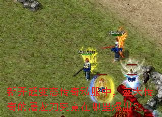 �¿�����̬����˽���У�ʢ��������������������ﱬ����