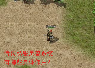 ����˽������ϵͳ����Щ�������ã�