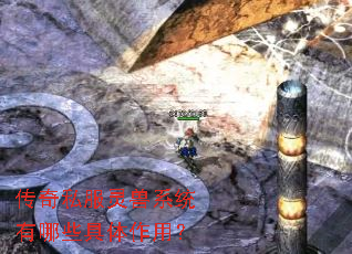 ����˽������ϵͳ����Щ�������ã�