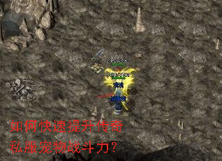 ��ο�����������˽������ս������