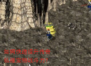 ��ο�����������˽������ս������