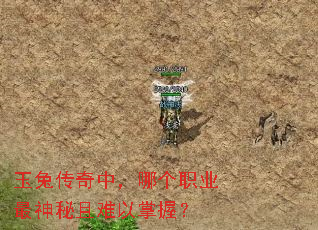 ���ô����У��ĸ�ְҵ���������������գ�