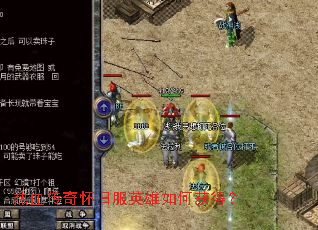 ��Ѫ���滳�ɷ�Ӣ����λ�ã�