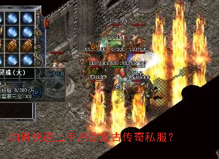 ��ο�������ԭʼ���Ŵ���˽����