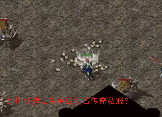 ��ο�������ԭʼ���Ŵ���˽����