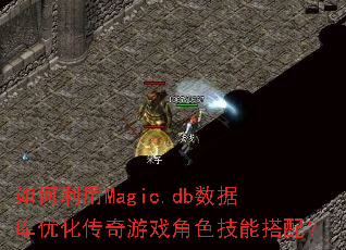 �������Magic.db���ݿ��Ż�������Ϸ��ɫ���ܴ��䣿