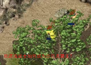 ������սʿ��γ�Ϊɳ�Ϳ˰�����