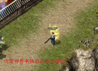 �����������ȡ��������Щ��