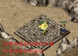 ��ο��ٻ�ȡ���и߱��б䴫���еĽ𶧣�